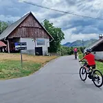 Camp キャンプ場 *