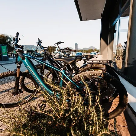 Camp キャンプ場 *